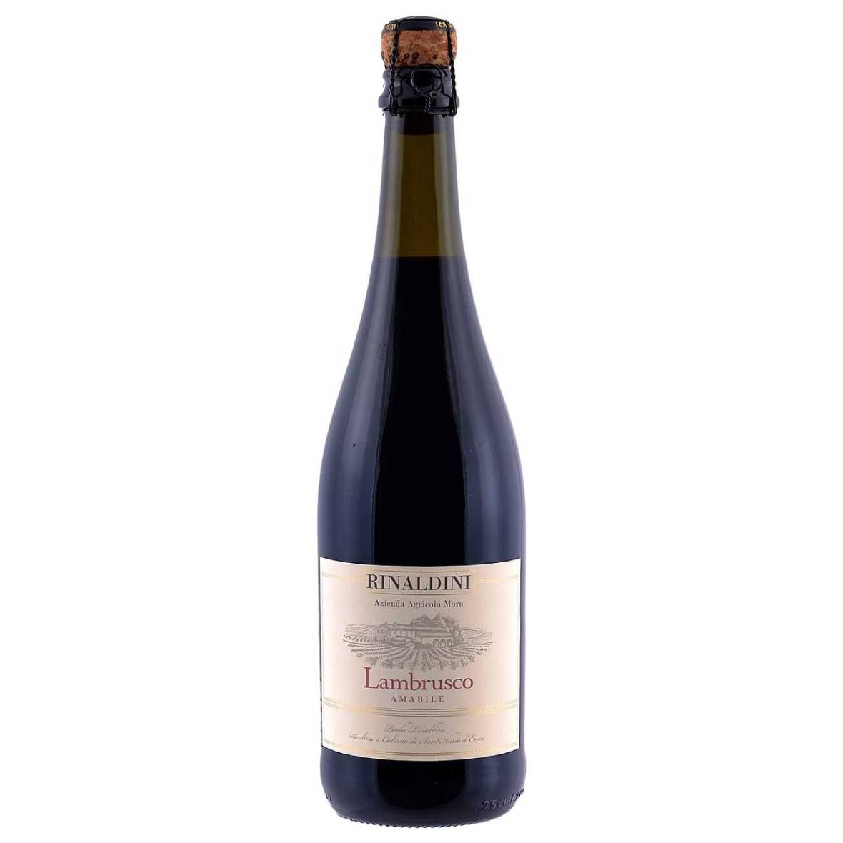 3448.jpg Emilia Lambrusco Rosso Amabile Rinaldini - immagine 1