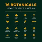 Saigon Baigur, Premium Dry Gin, 700ml, Ideale per Gin Tonic Esotico, Note Agrumate, Floreali, Speziate, 16 Botaniche, Gin Artigianale Vietnamita Distillato in Alambicchi di Rame, Idea Regalo, 43% Vol. - immagine 3