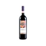 Rocca di Fabbri Sagrantino Di Montefalco Docg 2020, Vino Rosso Umbria, Vino Rosso Fermo, 15% vol, 750 ml