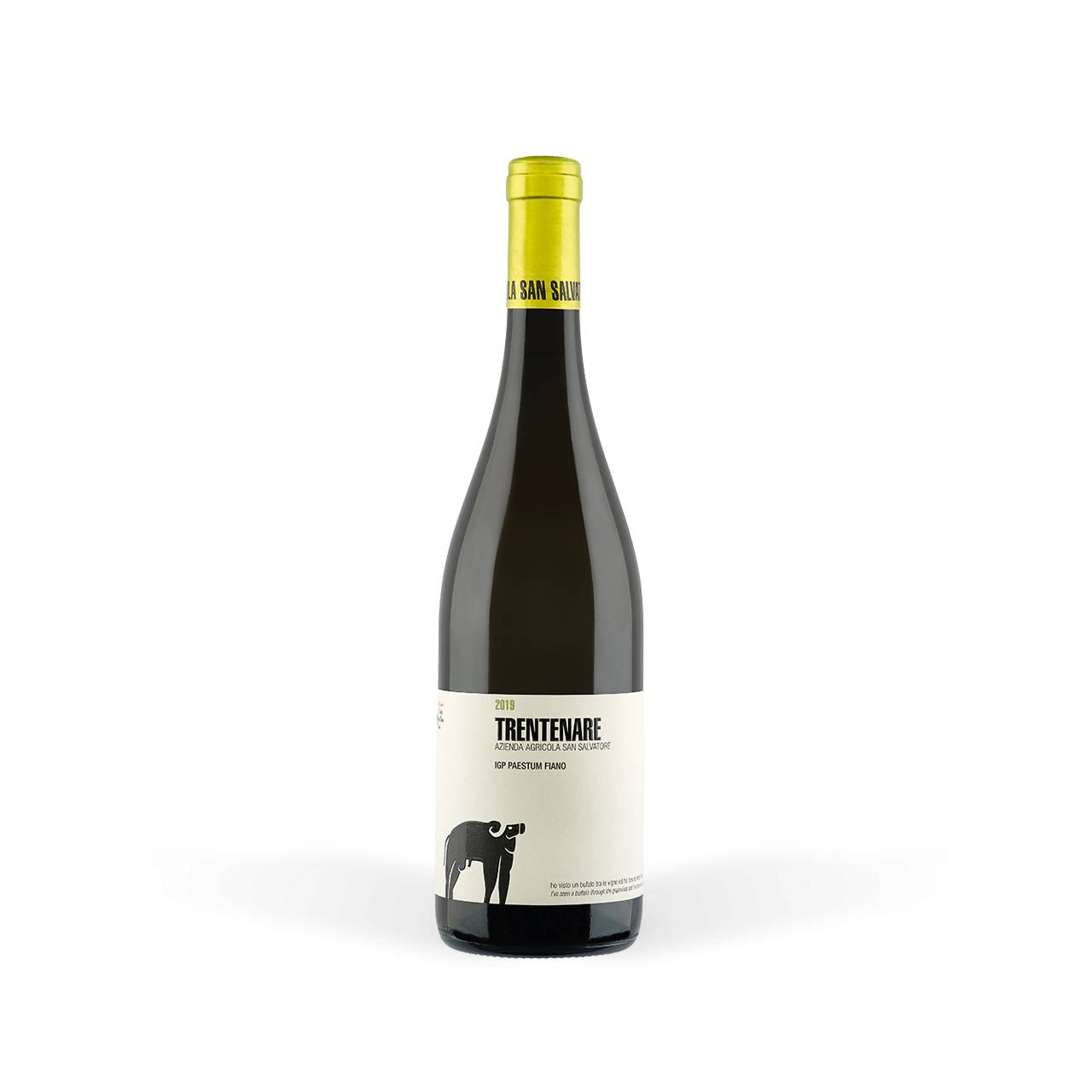 5076.jpg San Salvatore Trentenare 2024, Vino Bianco Campano, Paestum IGP, 12,5% vol, 750 ml - immagine 1